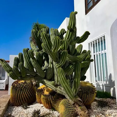 Malibu Grey Appartement Costa Adeje (Tenerife)