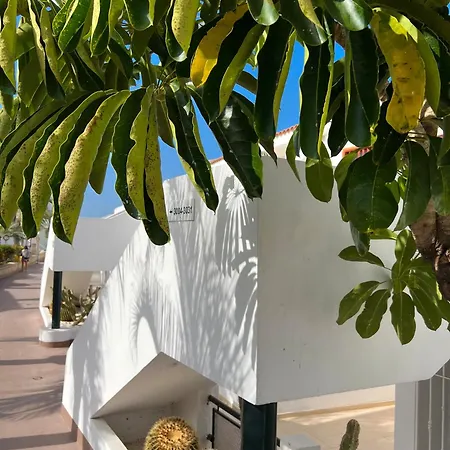 Malibu Grey * Costa Adeje (Tenerife)